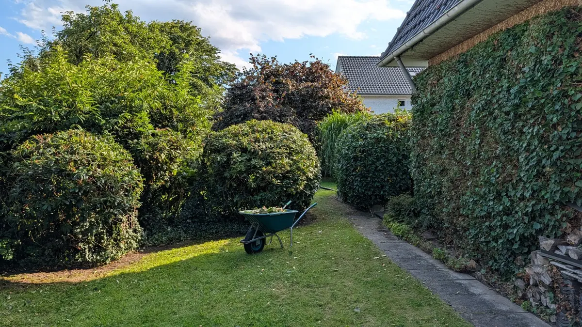 Gepflegte Sträucher und aufgeräumte Gartenfläche nach der Gartenpflege